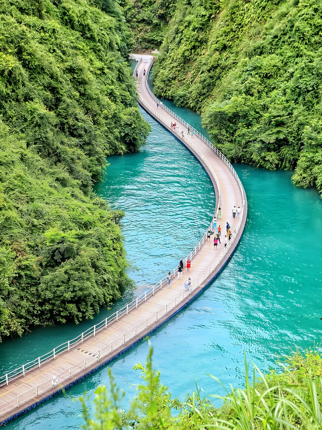 在崇左和恩施之间选择了恩施，冷门带娃绝了