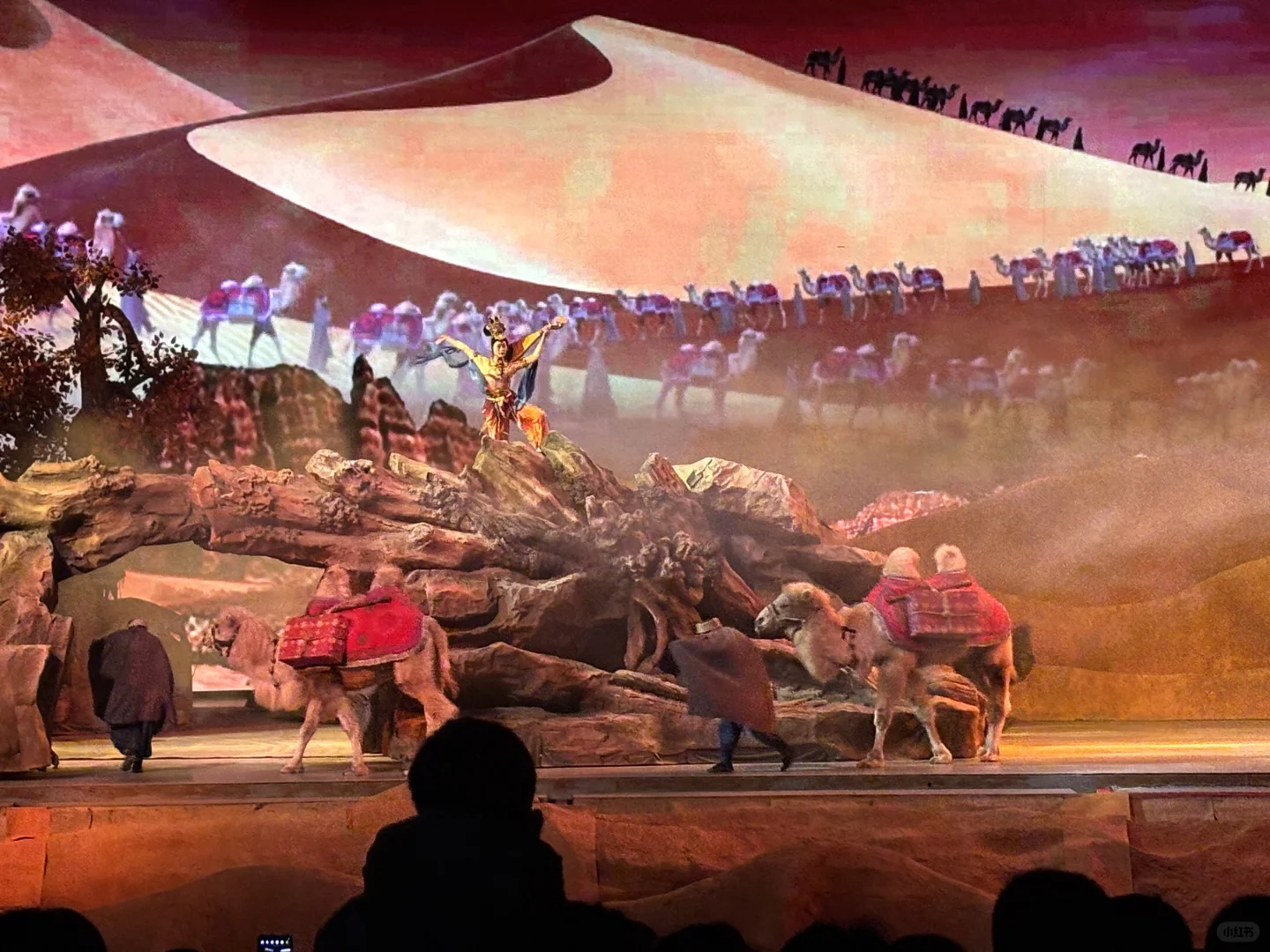 这也太值得去了！！看驼铃传奇不要在花冤枉钱