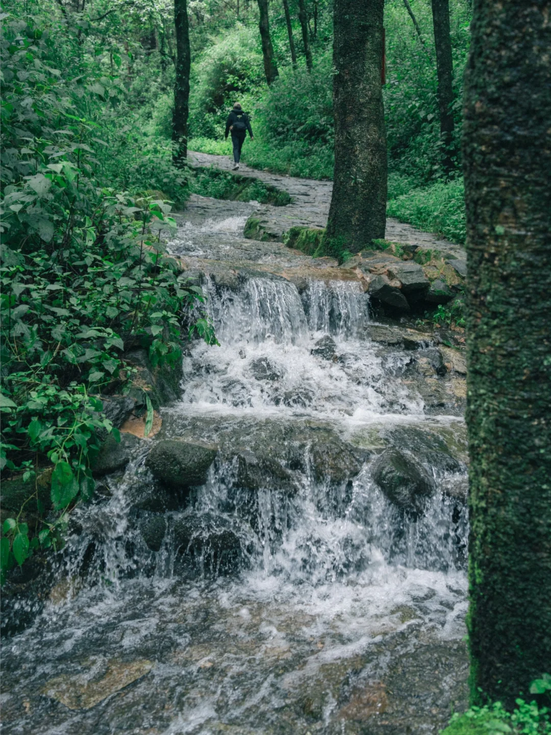 大理旅居一年，我私藏的5️⃣个冷门小众好去处