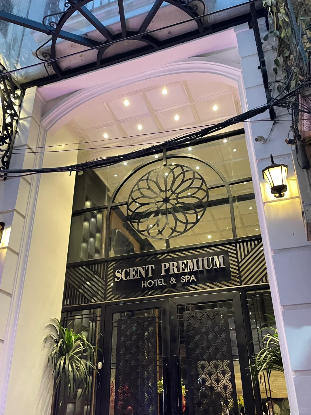 河内老街酒店合集，旅游定酒店前都来看看❗️