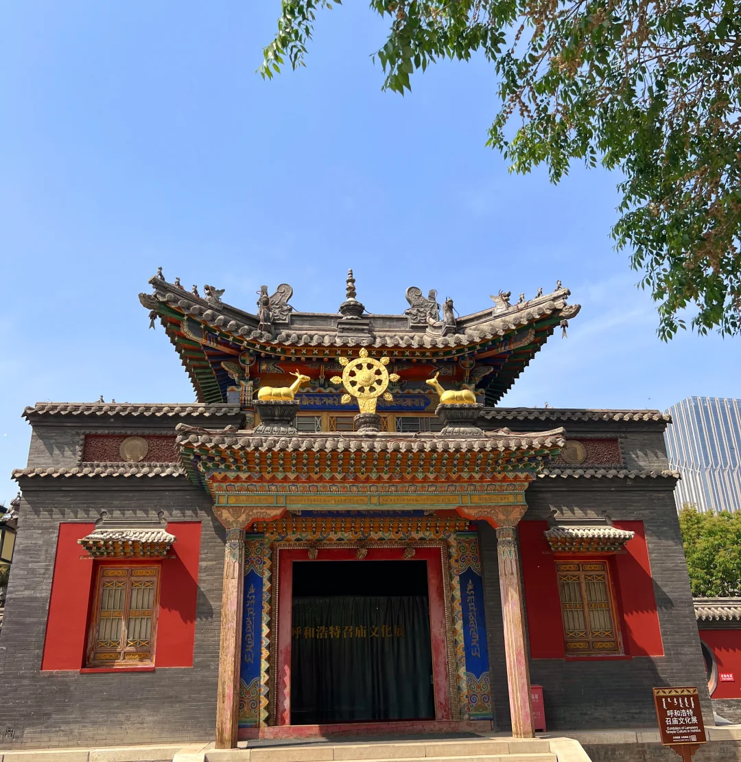 听劝，呼和浩特会惩罚每一个不做攻略的人❗