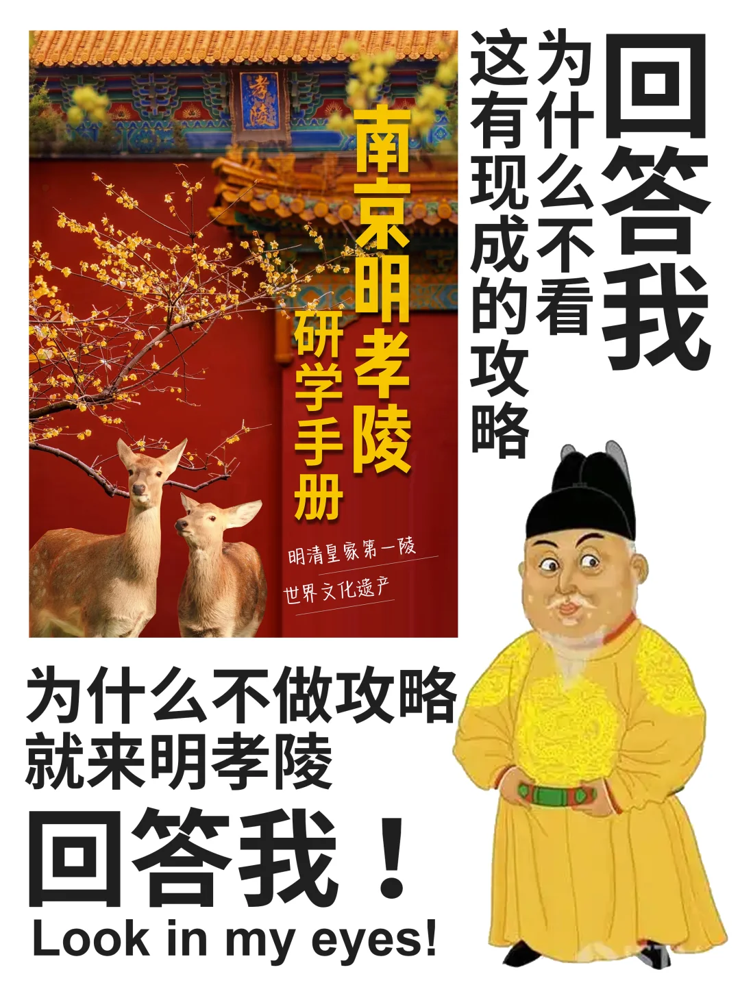 竟然有这么详细的南京明孝陵旅游研学手册