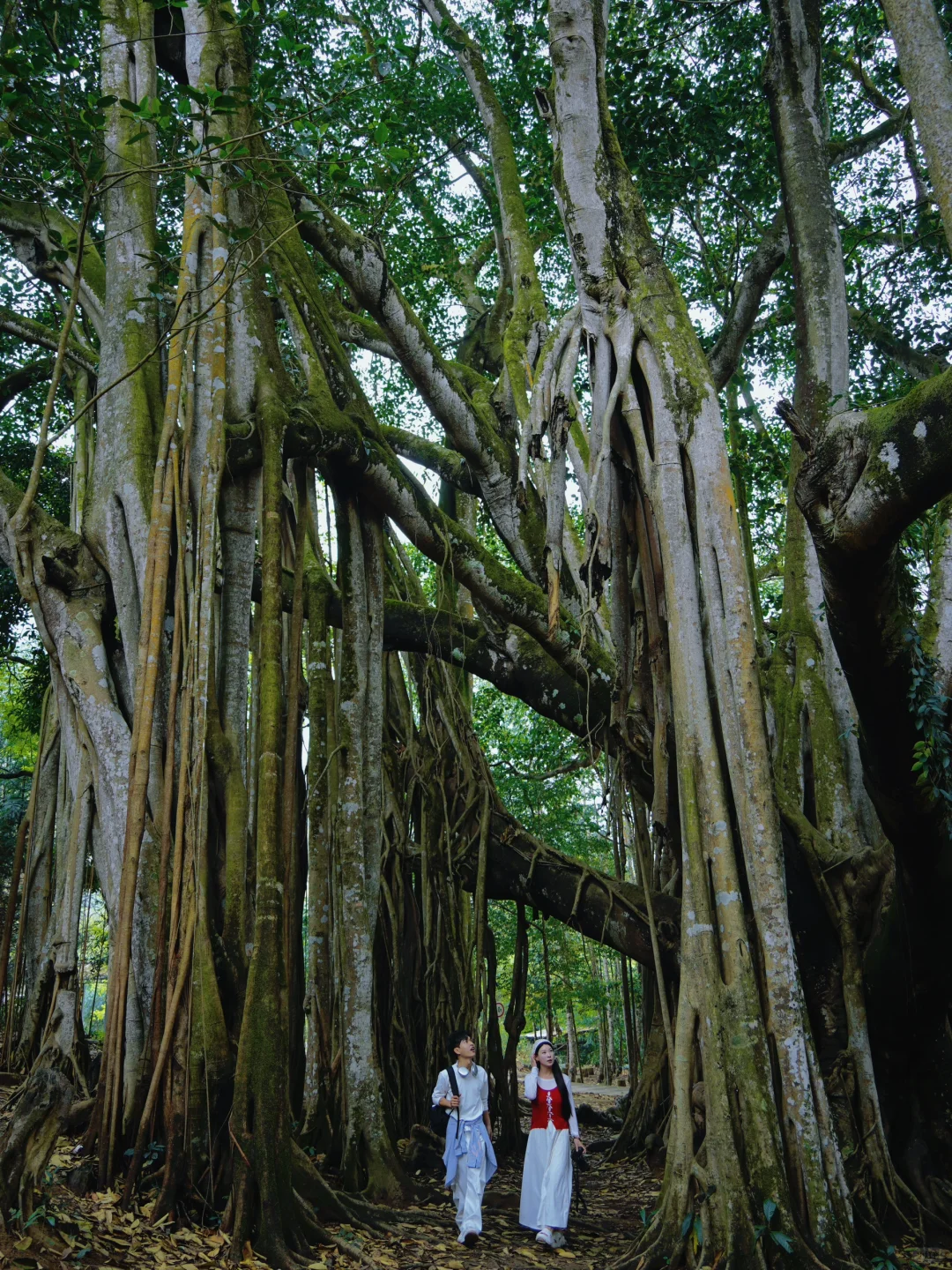 在云南去过最冷门的宝藏小城，好怕它火🔥