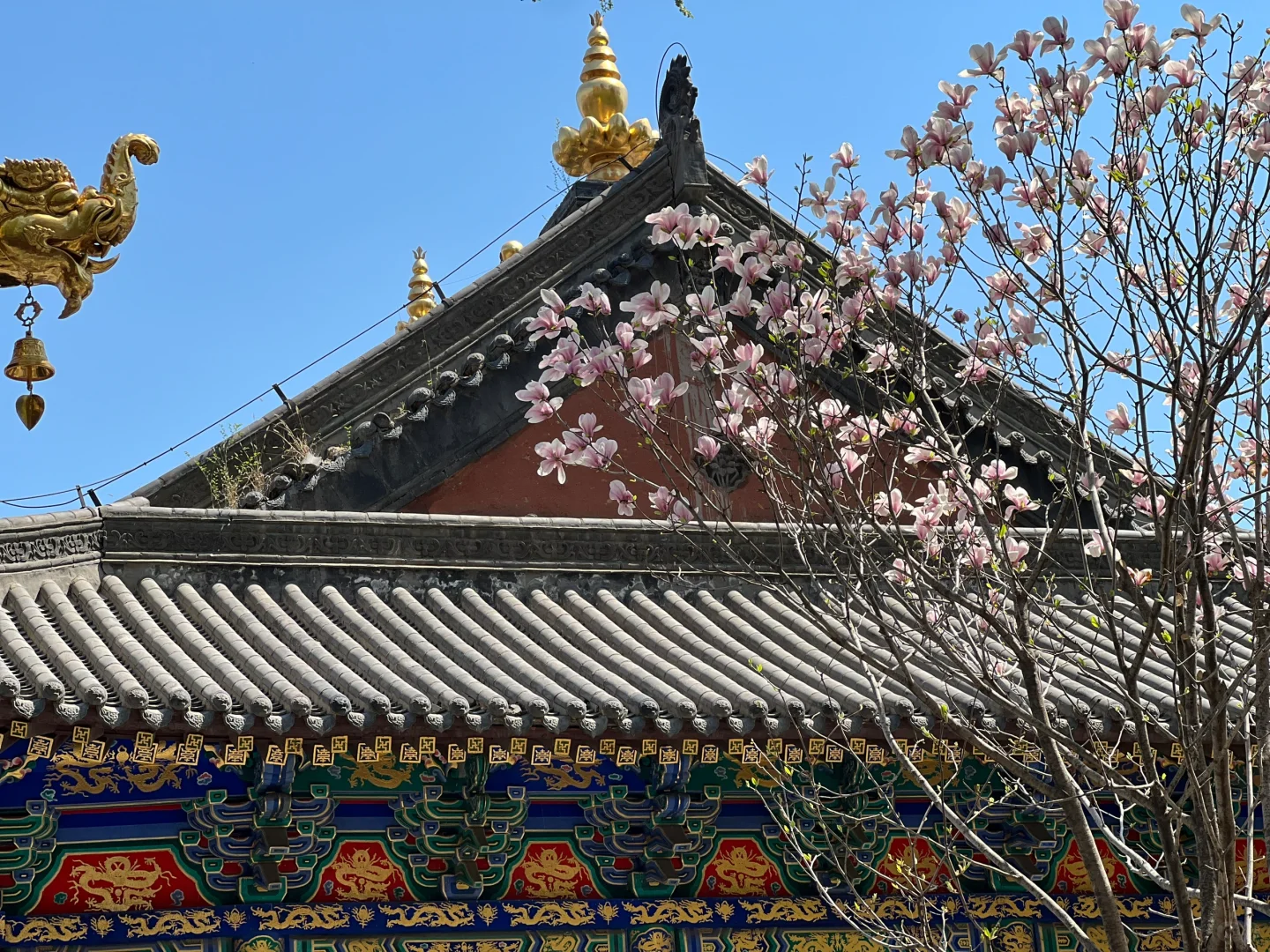 日常｜这两天所遇之美