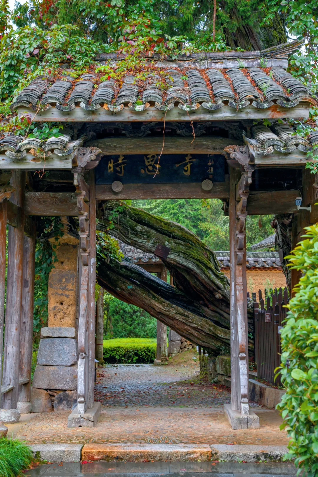 五一反向游，推荐一个冷门且舒服的宝藏小城