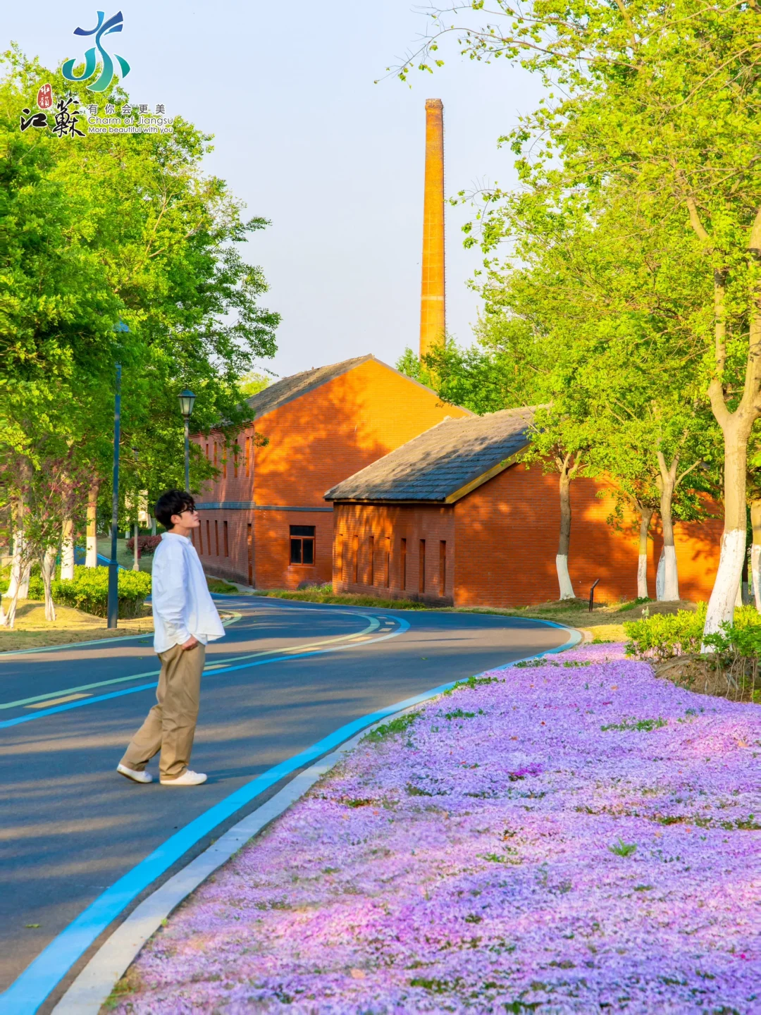 朋友圈问疯了，真没去欧洲，在盐城‼️