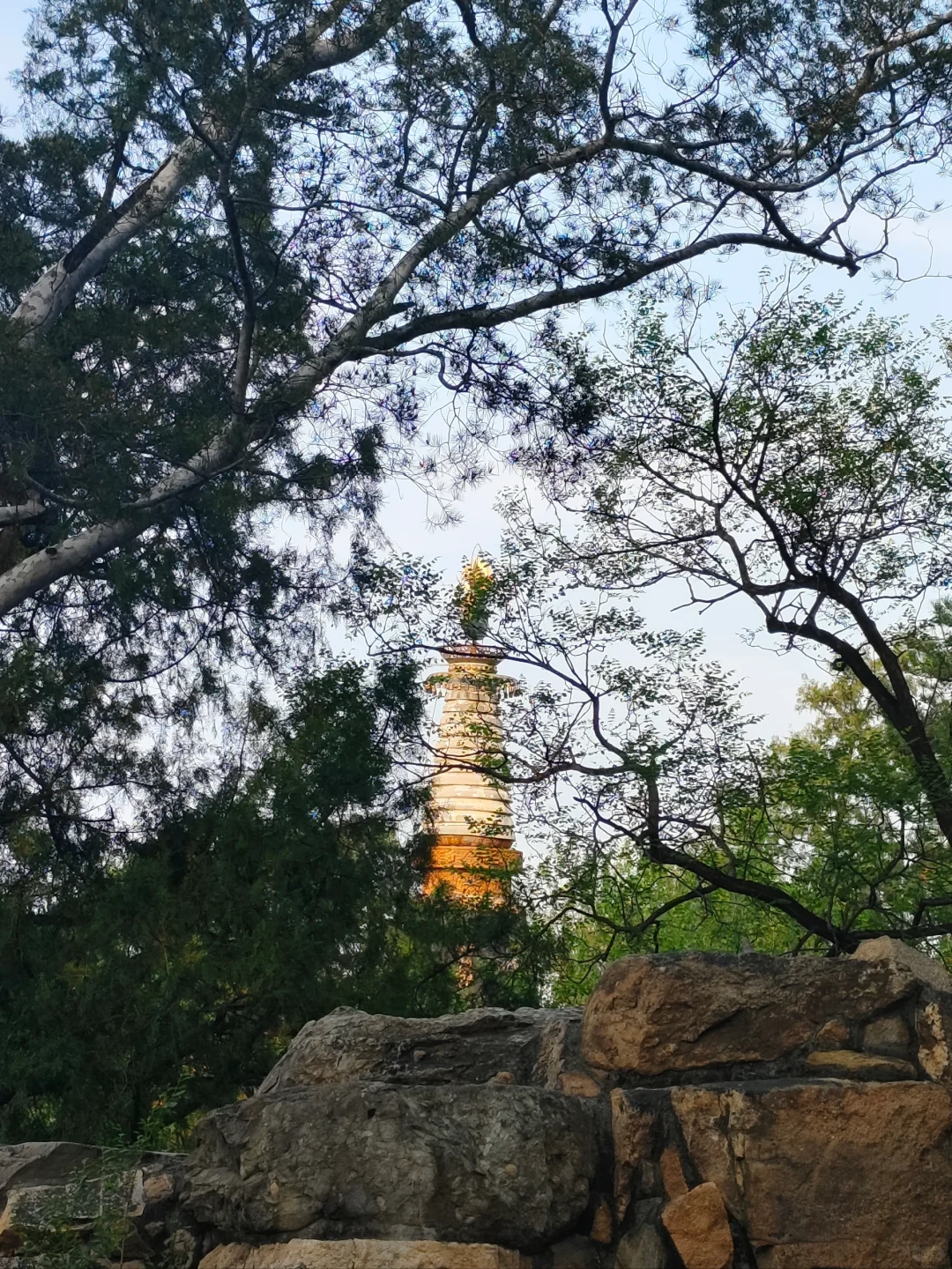 腿已走断 地铁坐穿 脸吹焦干 身份证掏烂