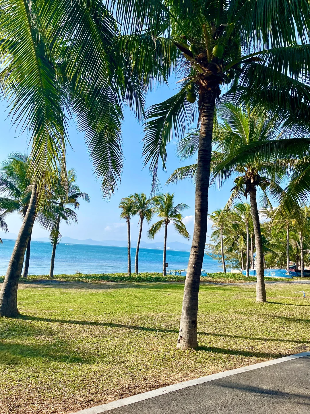 🌞谁能不爱旅游啊？