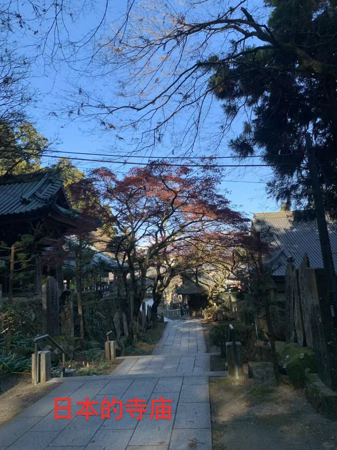 我，21岁一个人在日本，15天3000元（含机票）