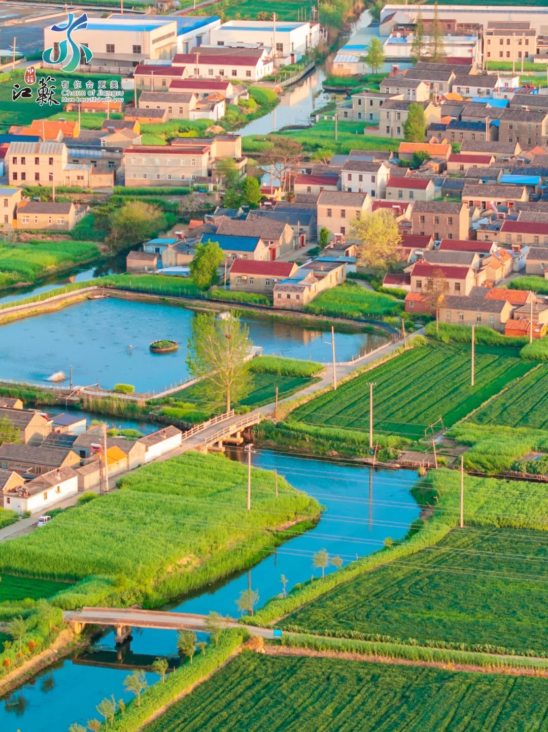 朋友圈问疯了，真没去欧洲，在盐城‼️