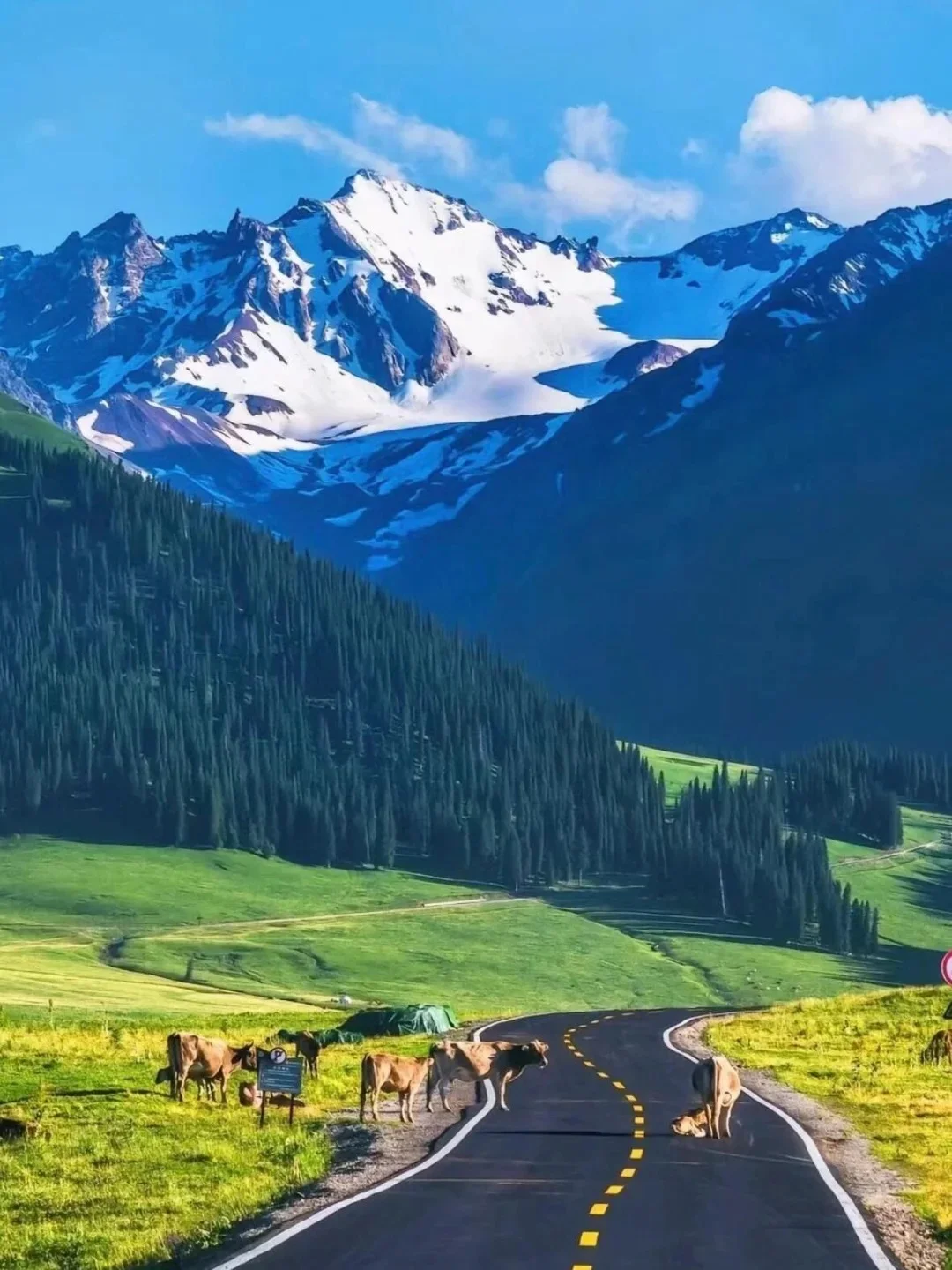 不纠结瑞士，北疆散心一样惊艳你的全世界