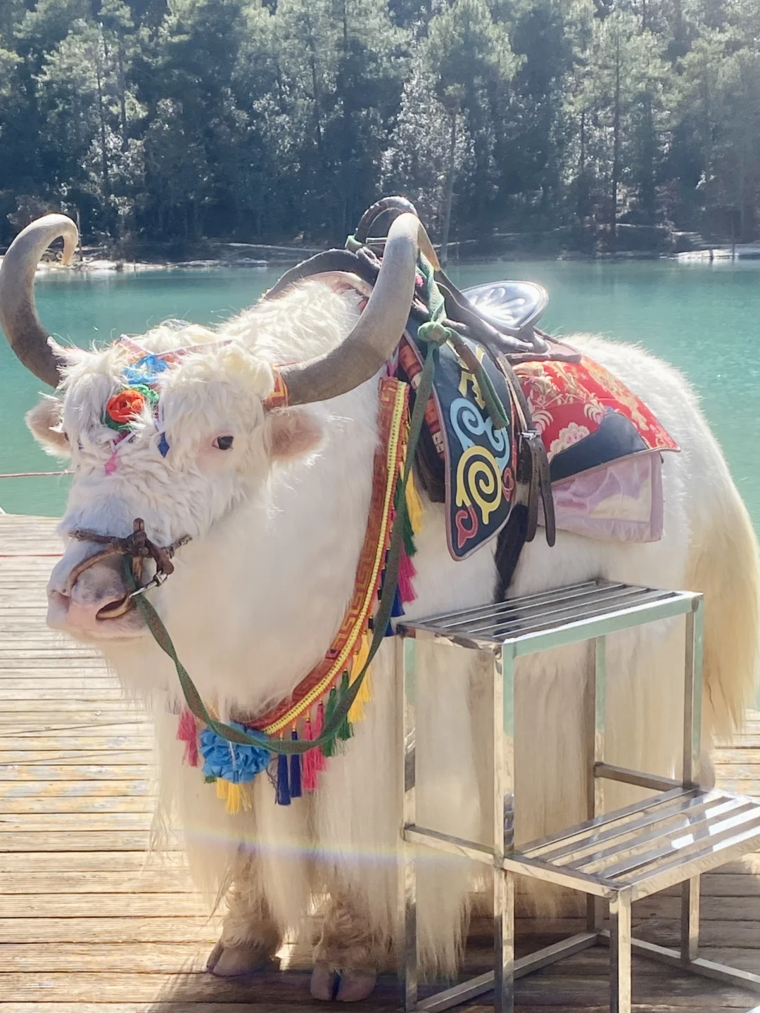 丽江📍旅游攻略📝三天两夜不绕路（五一版👭）