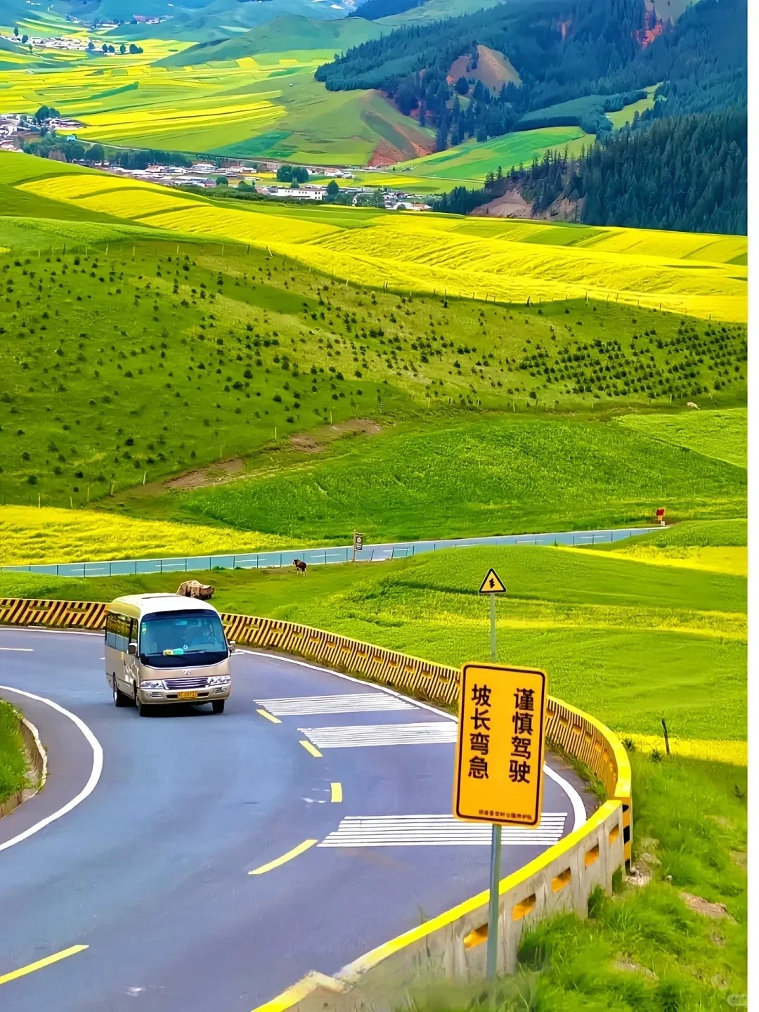 🌟【青海】遇见大西北的治愈浪漫