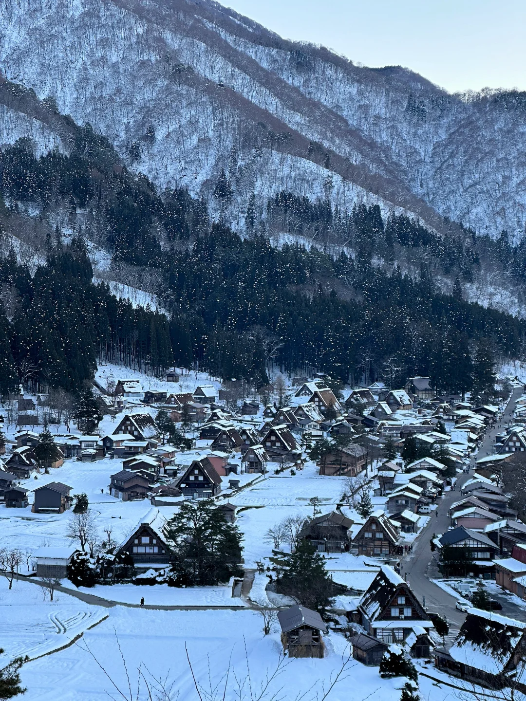 白川鄉合掌村 ❄️