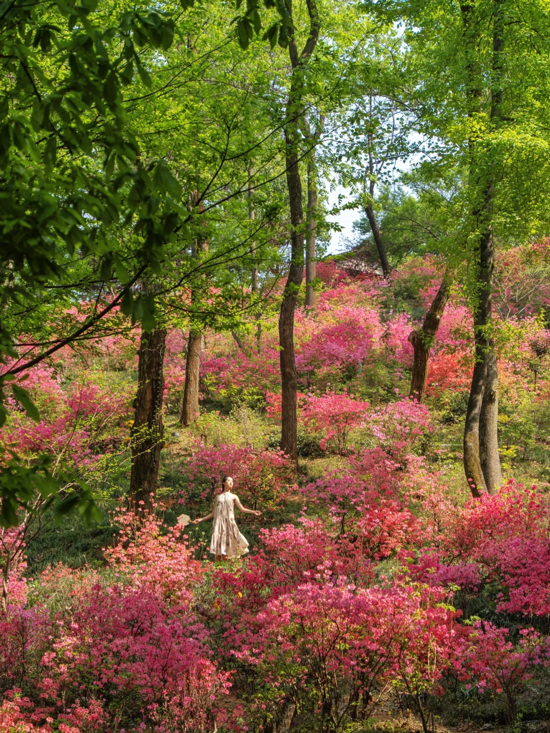 以为婺源已经够美了 直到我去了这个小镇🍃