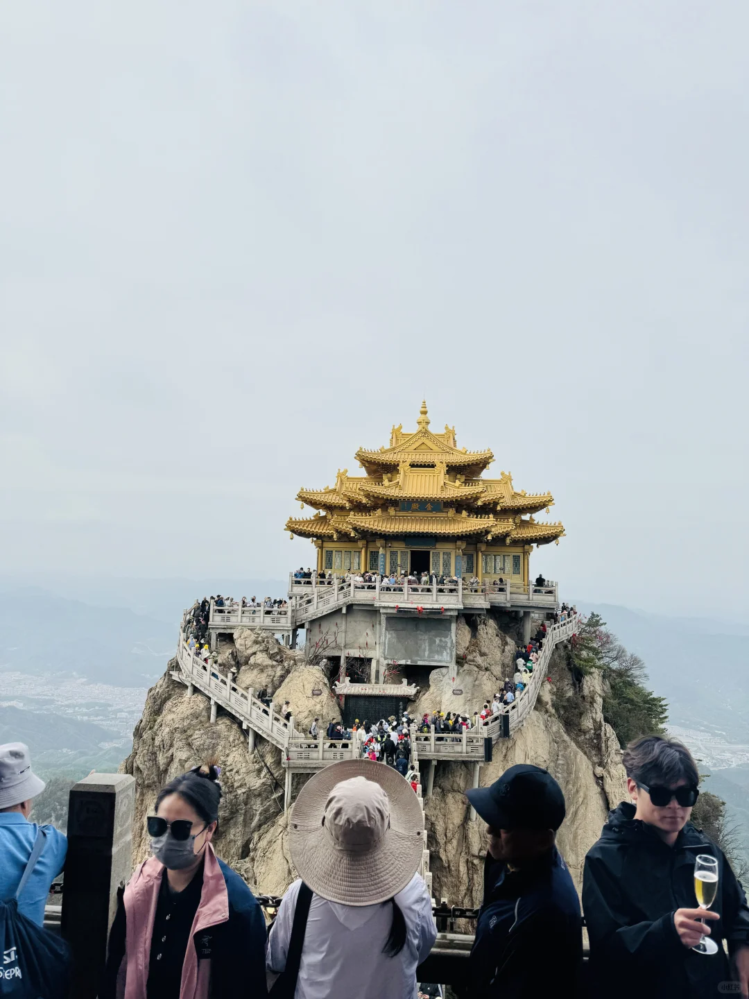 风起洛阳,梦入神都🏯