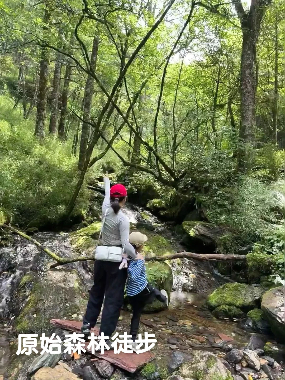 在崇左和恩施之间选择了恩施，冷门带娃绝了