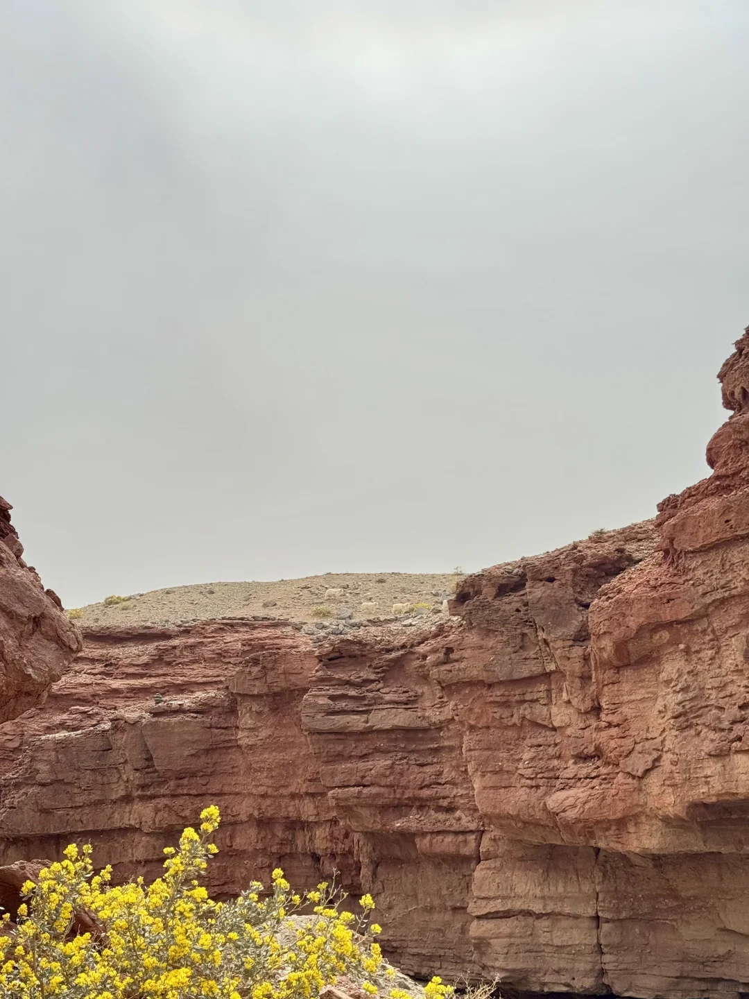 大西北的美在这里了！🪂