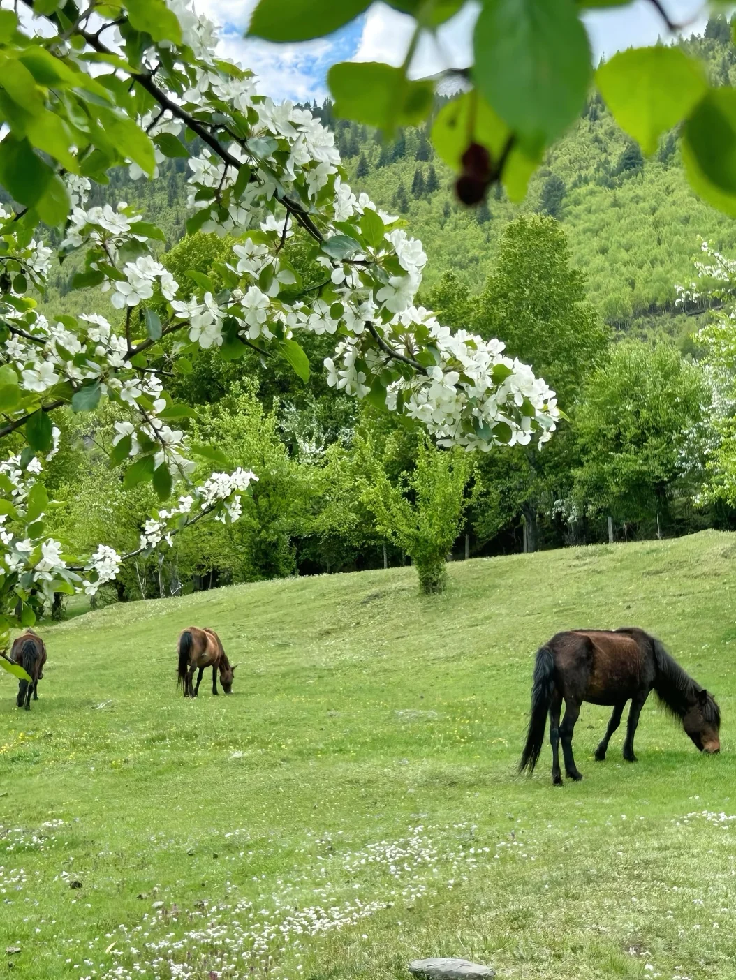 🌈闯进川西🔍邂逅被上帝私藏的美景🥰