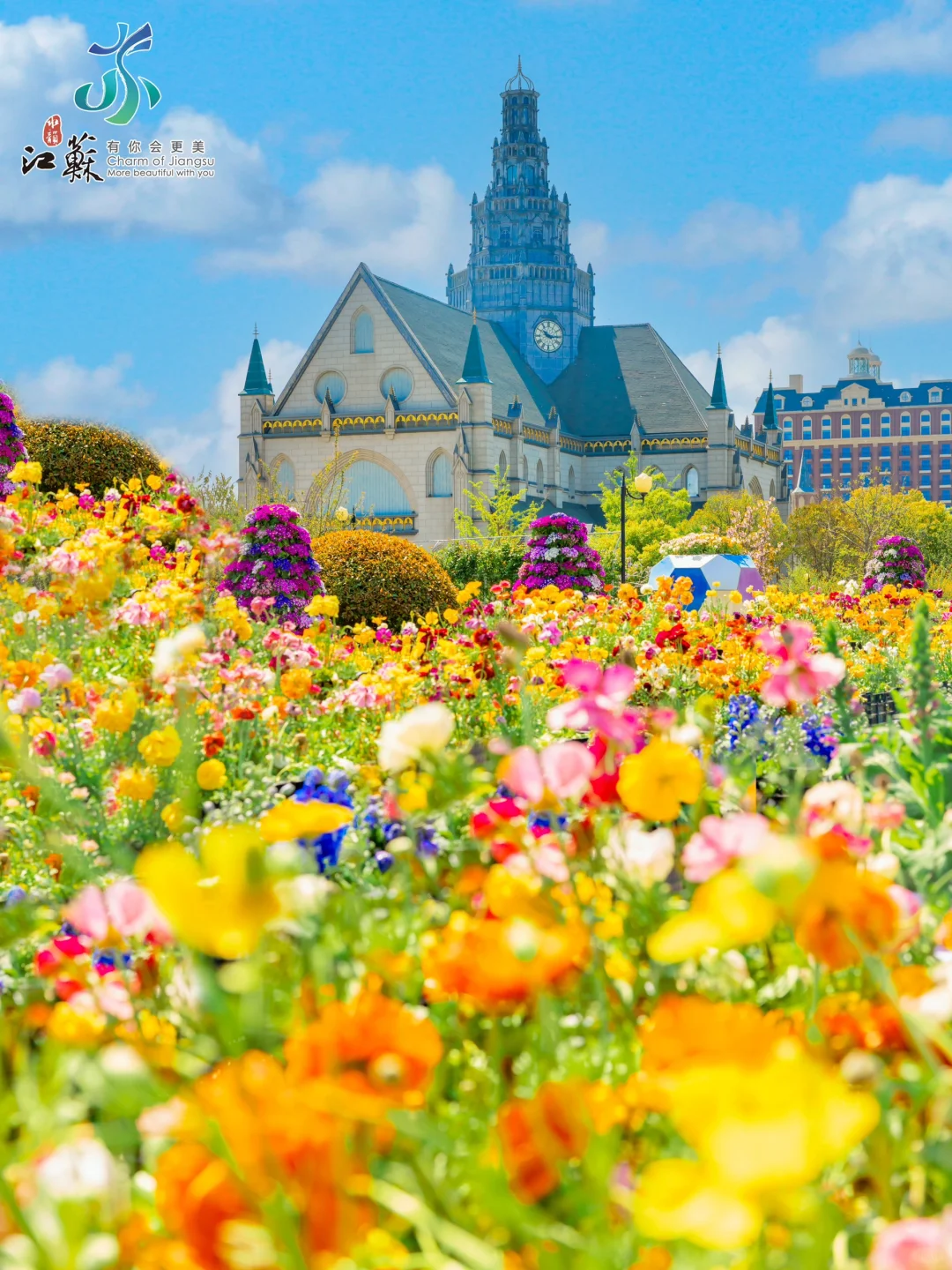 朋友圈问疯了，真没去欧洲，在盐城‼️