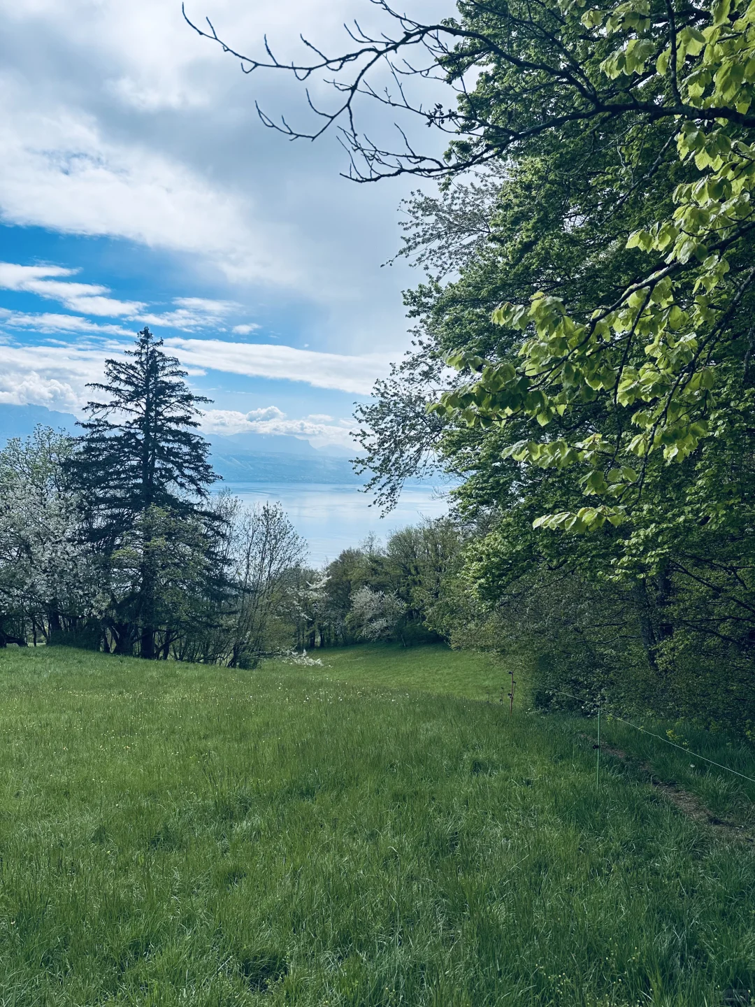 在瑞士不知名的湖边重新定义湖光山色