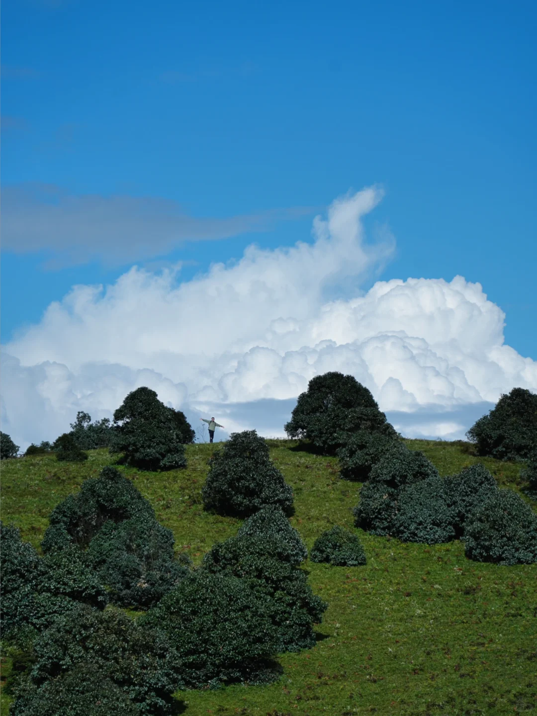 大理旅居一年，我私藏的5️⃣个冷门小众好去处