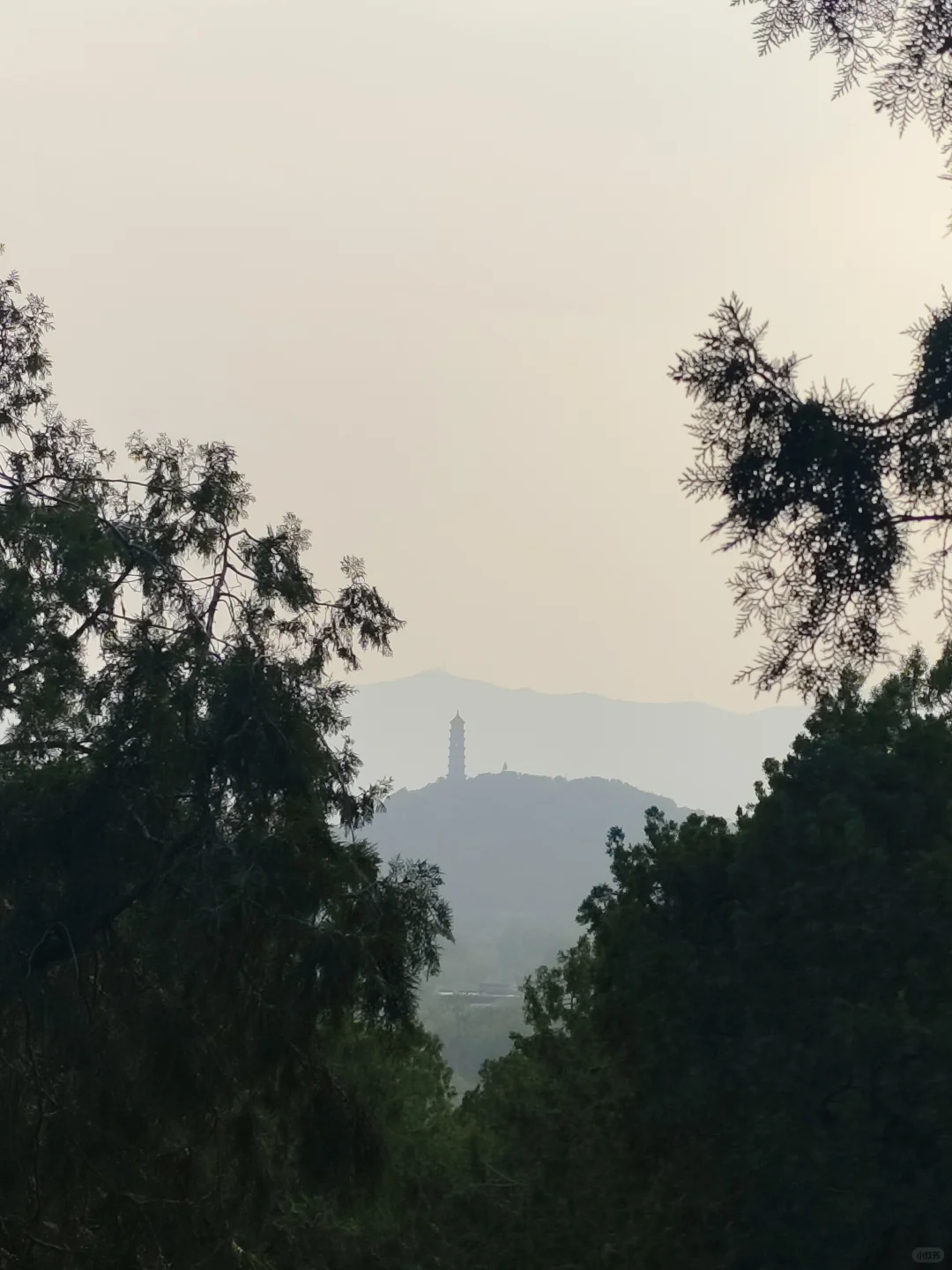 腿已走断 地铁坐穿 脸吹焦干 身份证掏烂