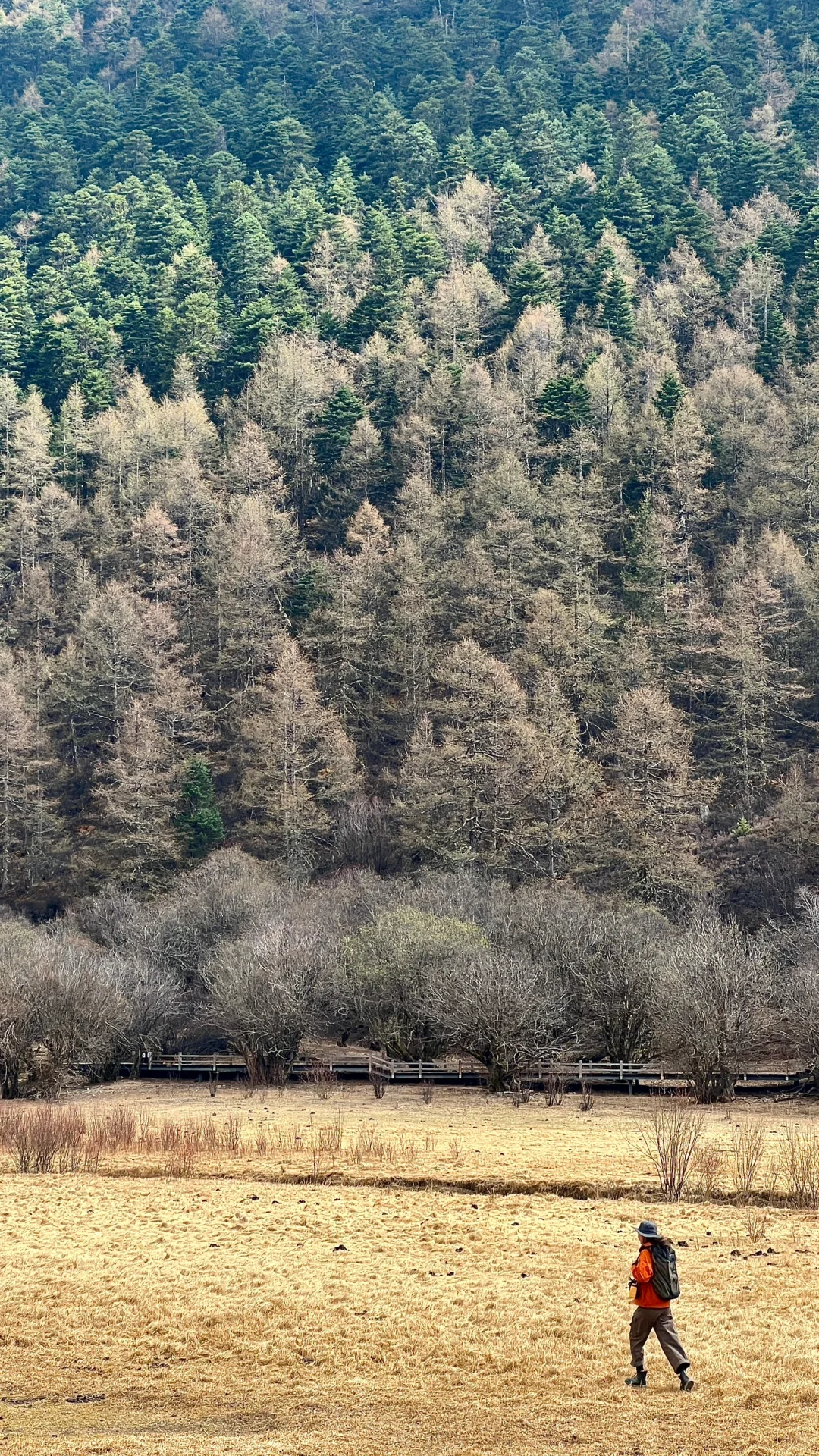 🌞谁能不爱旅游啊？