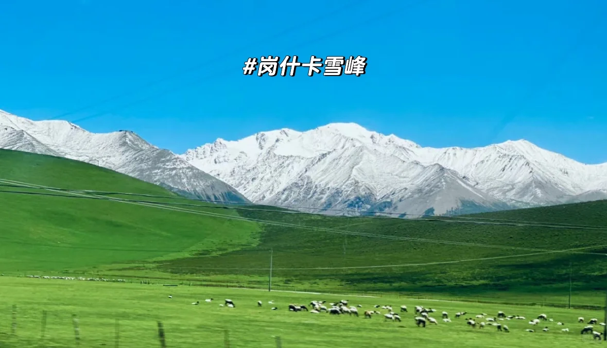 4-8月旅游就去青甘环线🌈