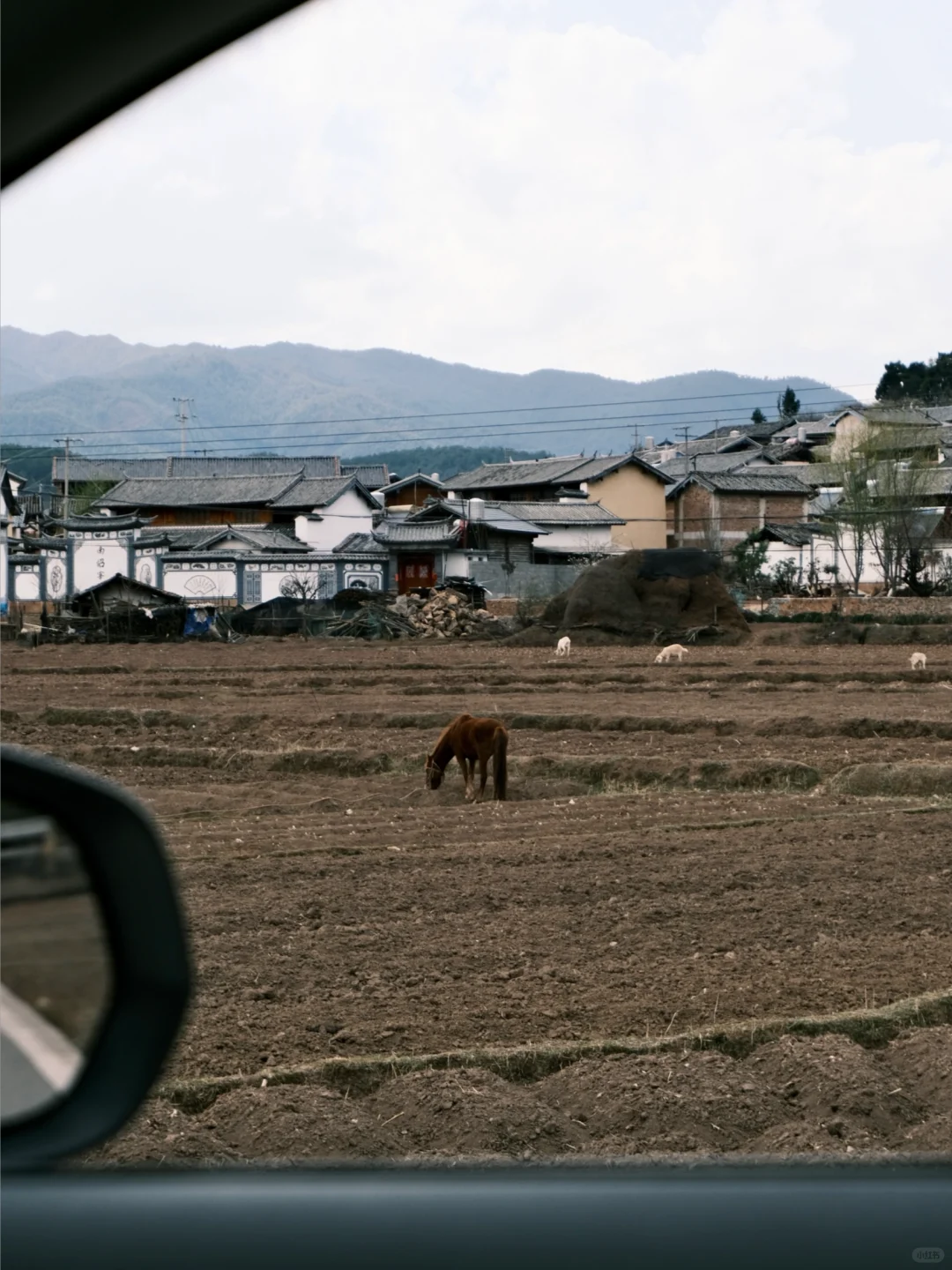 大理旅居一年，我私藏的5️⃣个冷门小众好去处