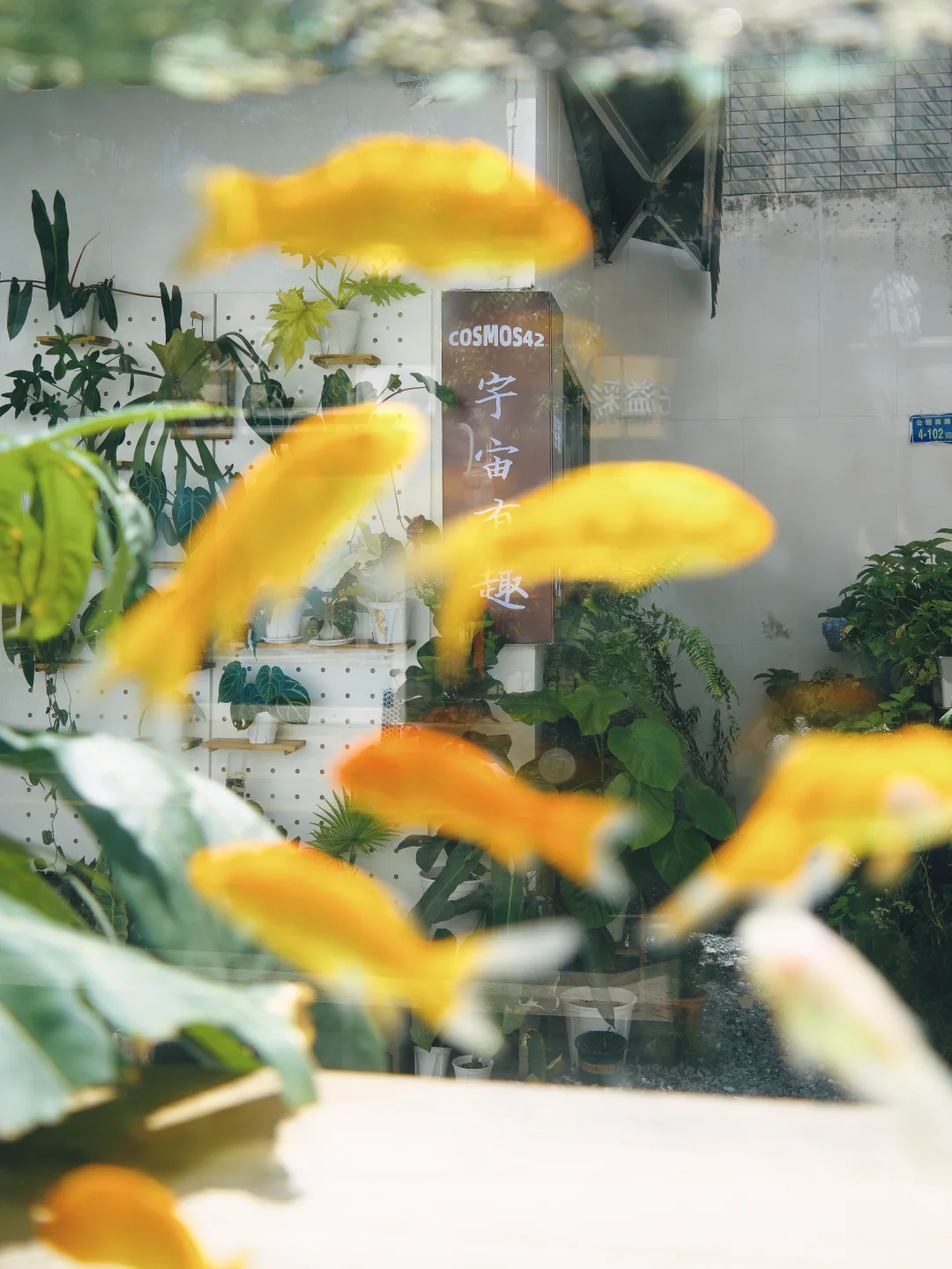 厦门旅游只待三天，建议无脑COPY这条路线