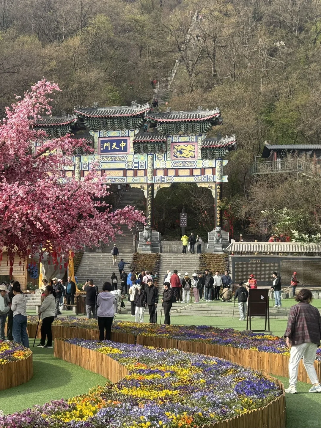 4.25号老君山实况，爬完真的崩溃了…