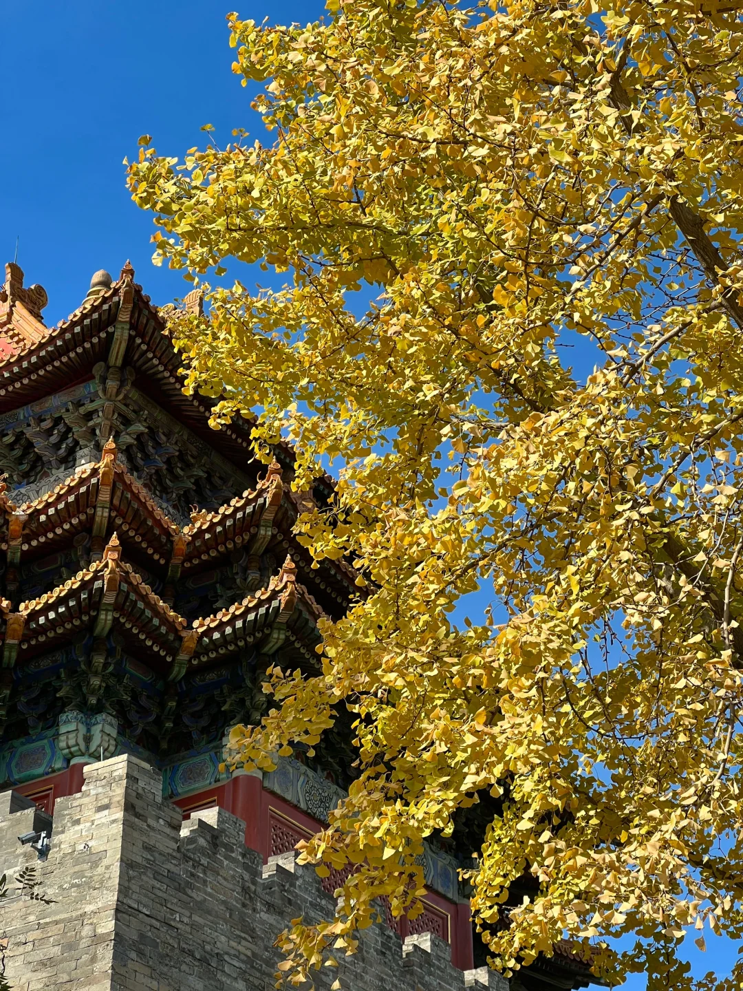 🌞谁能不爱旅游啊？