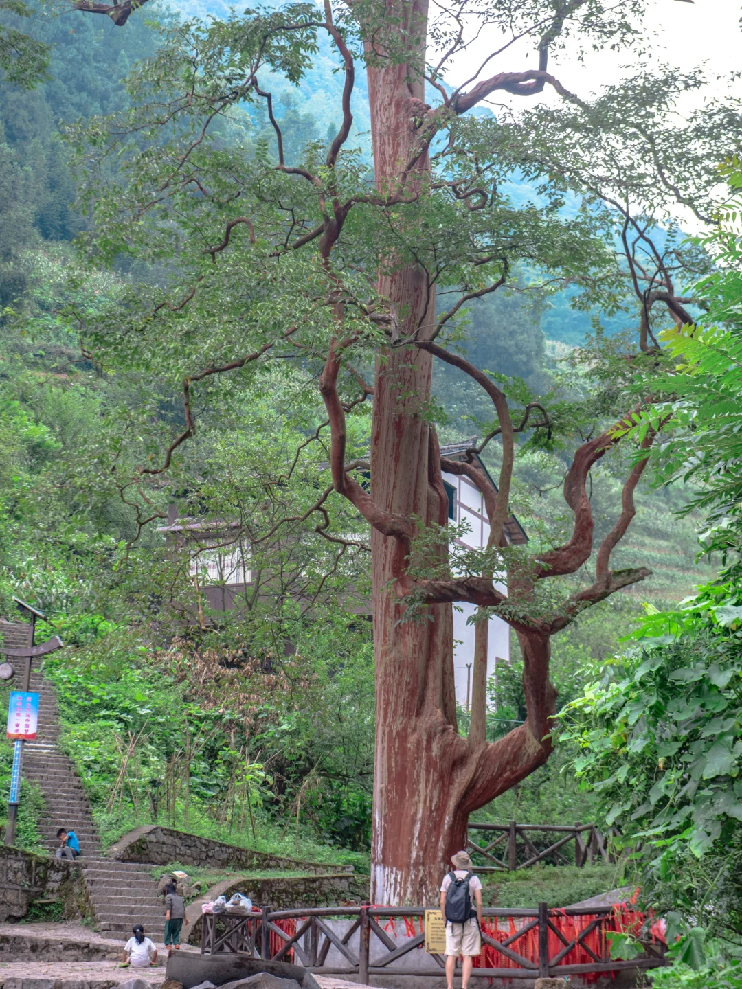 反向冷门旅游，成都高铁2小时的松弛小城