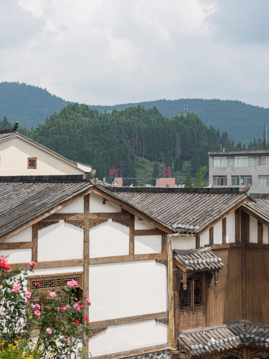 反向冷门旅游，成都高铁2小时的松弛小城