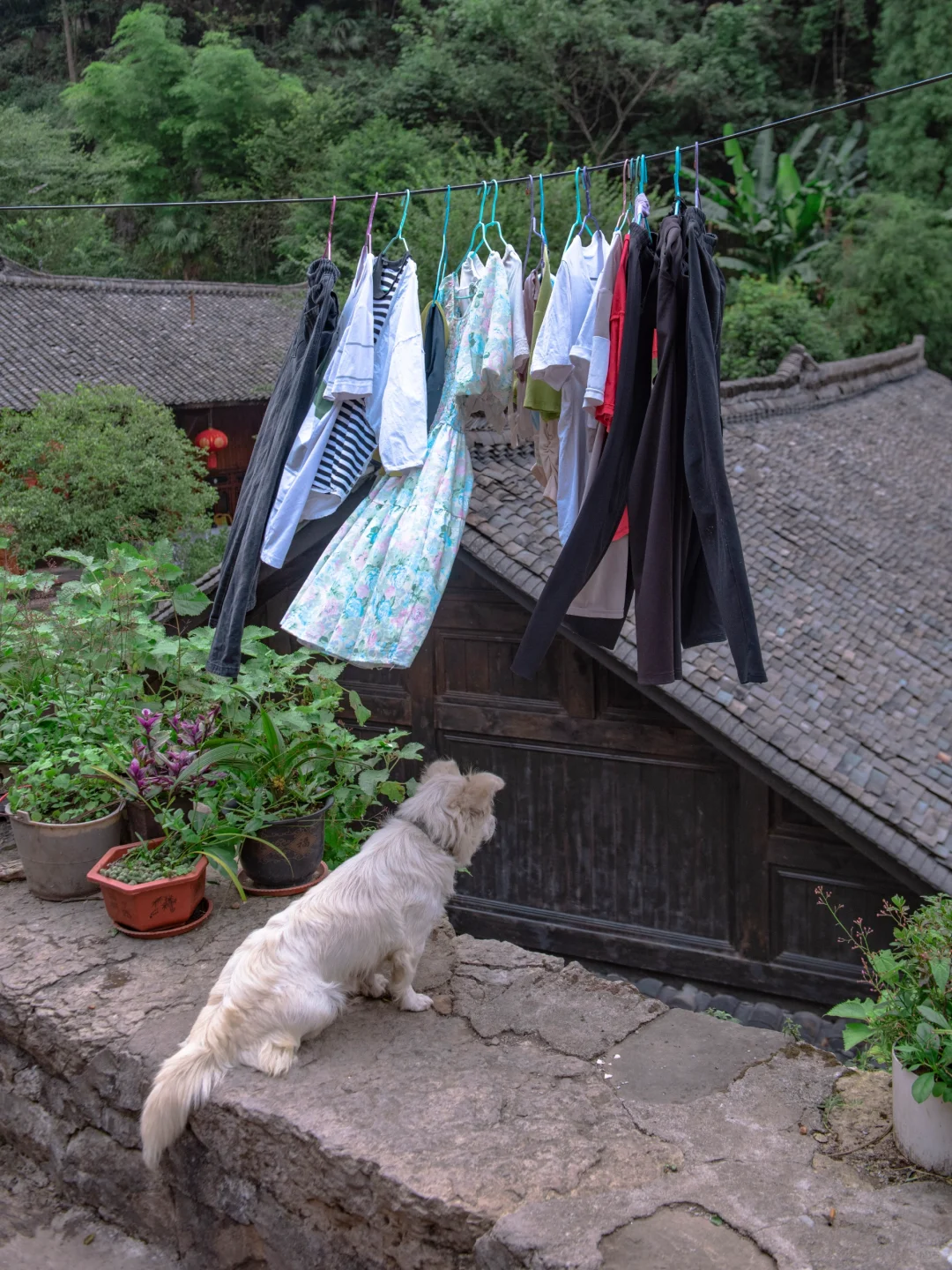 反向冷门旅游，成都高铁2小时的松弛小城