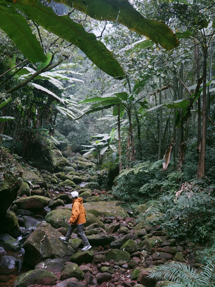 《国家地理》没骗我！被低估的宝藏小城实锤了