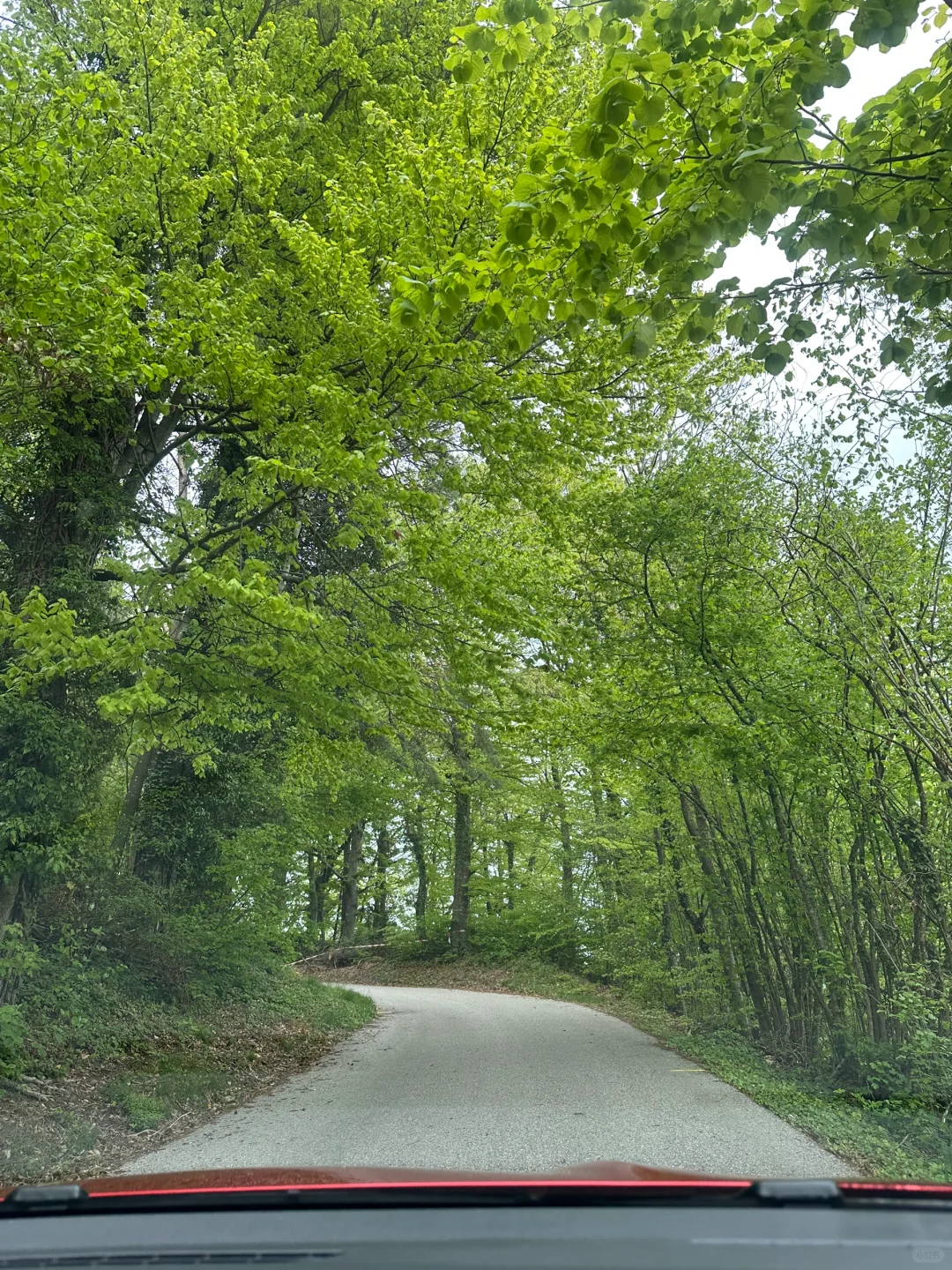 在瑞士不知名的湖边重新定义湖光山色