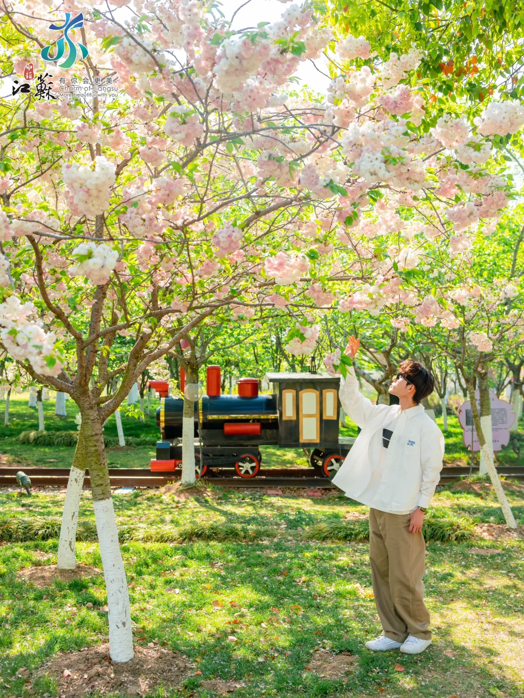 朋友圈问疯了，真没去欧洲，在盐城‼️