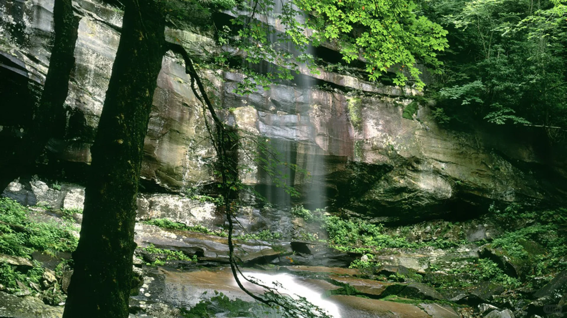 《🌟旅行，让梦想照进现实》