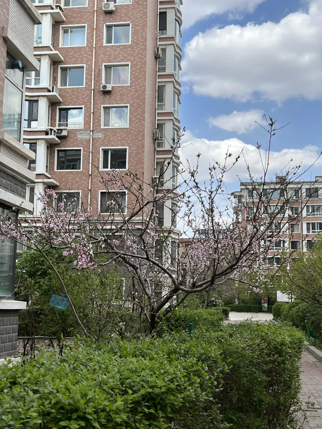 日常｜这两天所遇之美