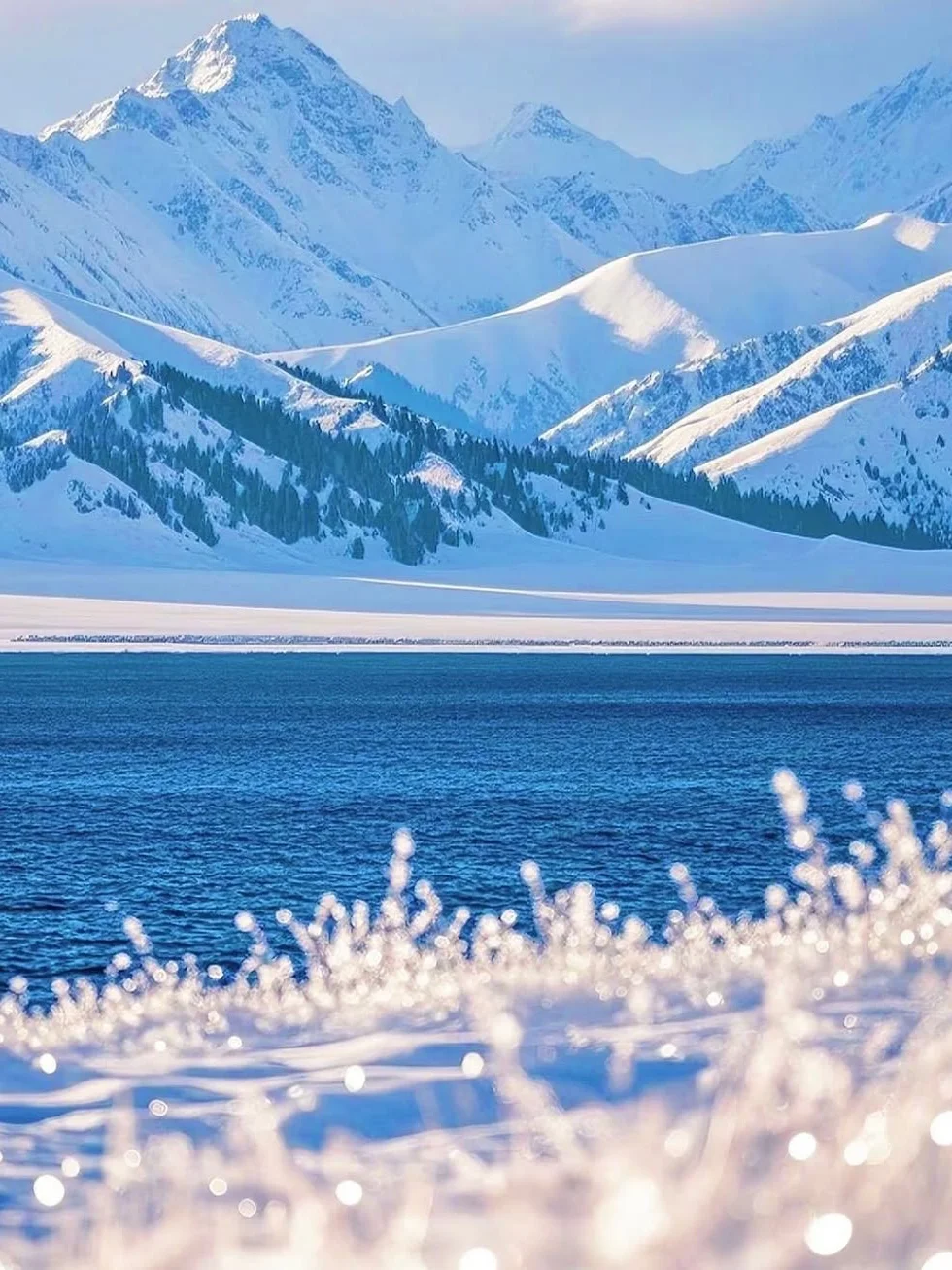 赛里木湖！一眼就被这变幻蓝调勾了魂‼️