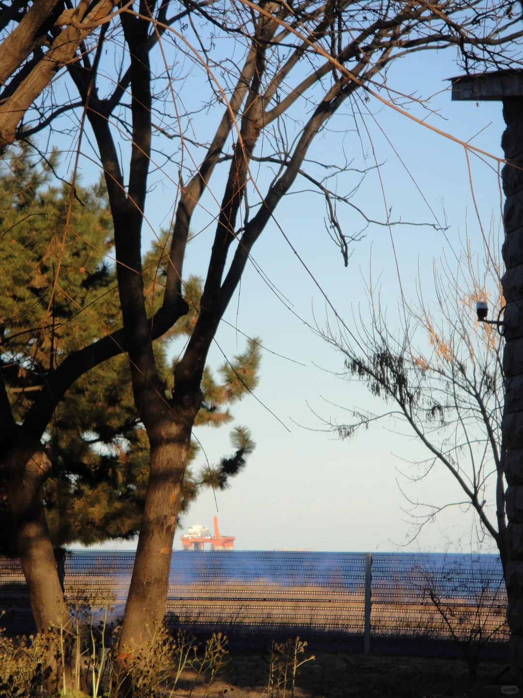 🛫旅游真的可以彻底放松自己