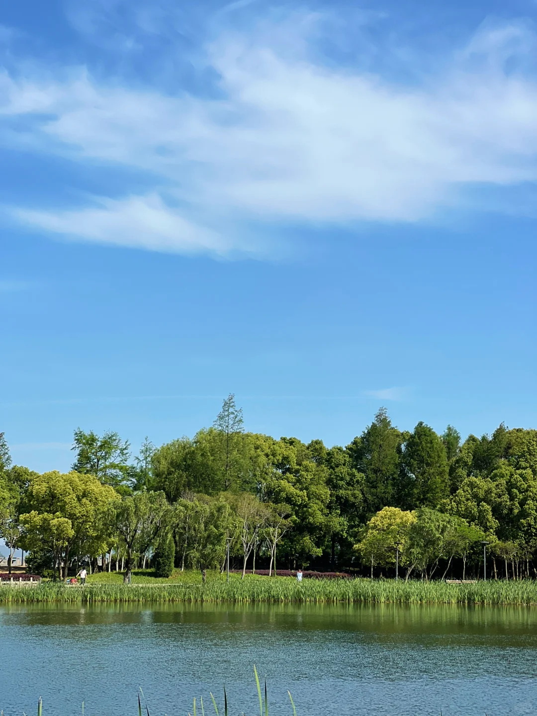 在无锡📍没有天花板的地方感受春天