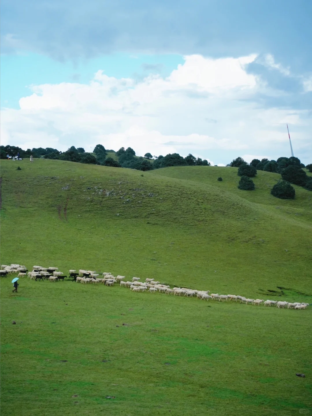 大理旅居一年，我私藏的5️⃣个冷门小众好去处