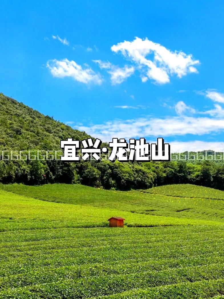 劳动节假期3天，避开人潮！江浙沪的9个隐秘景点✨