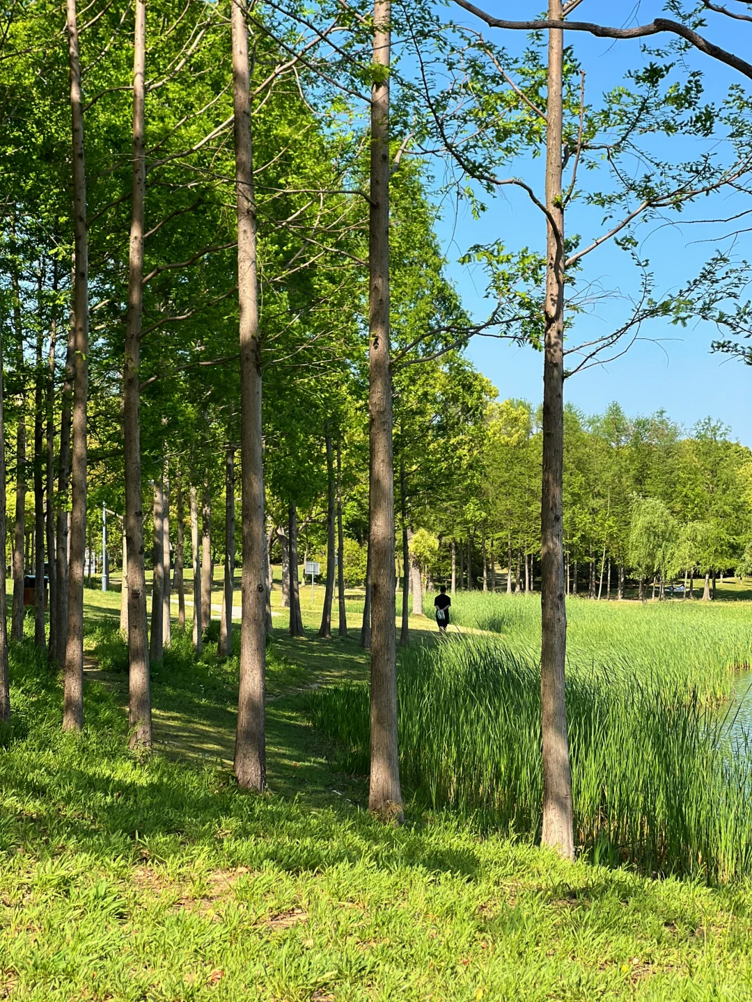 在无锡📍没有天花板的地方感受春天