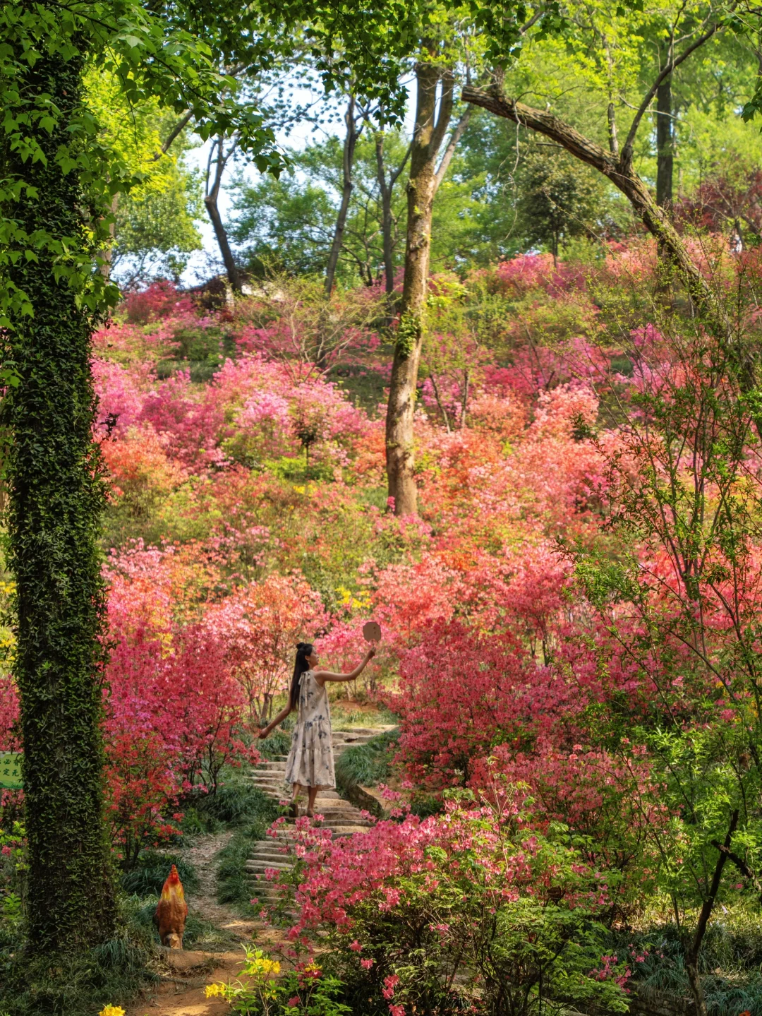 以为婺源已经够美了 直到我去了这个小镇🍃