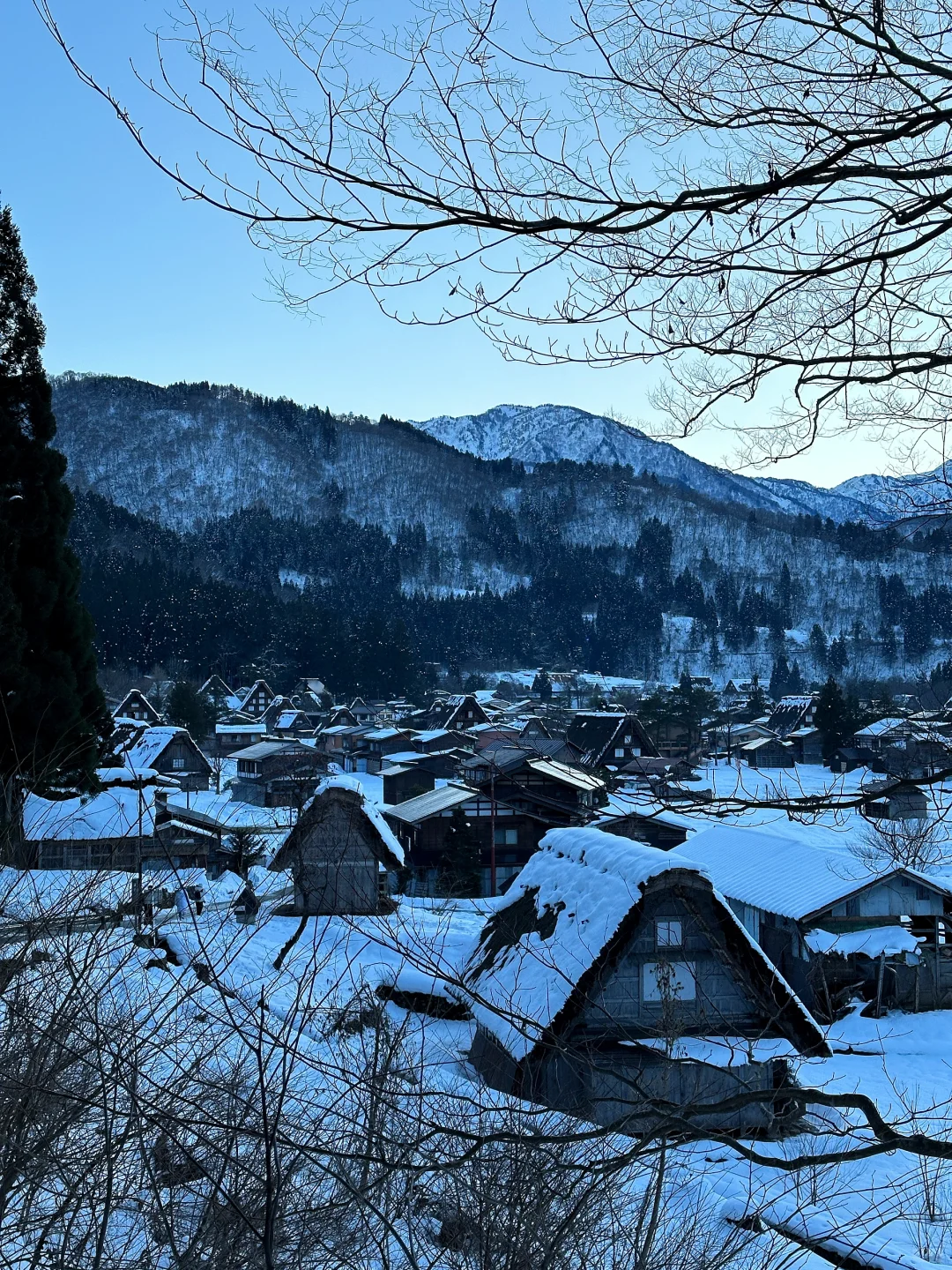 白川鄉合掌村 ❄️