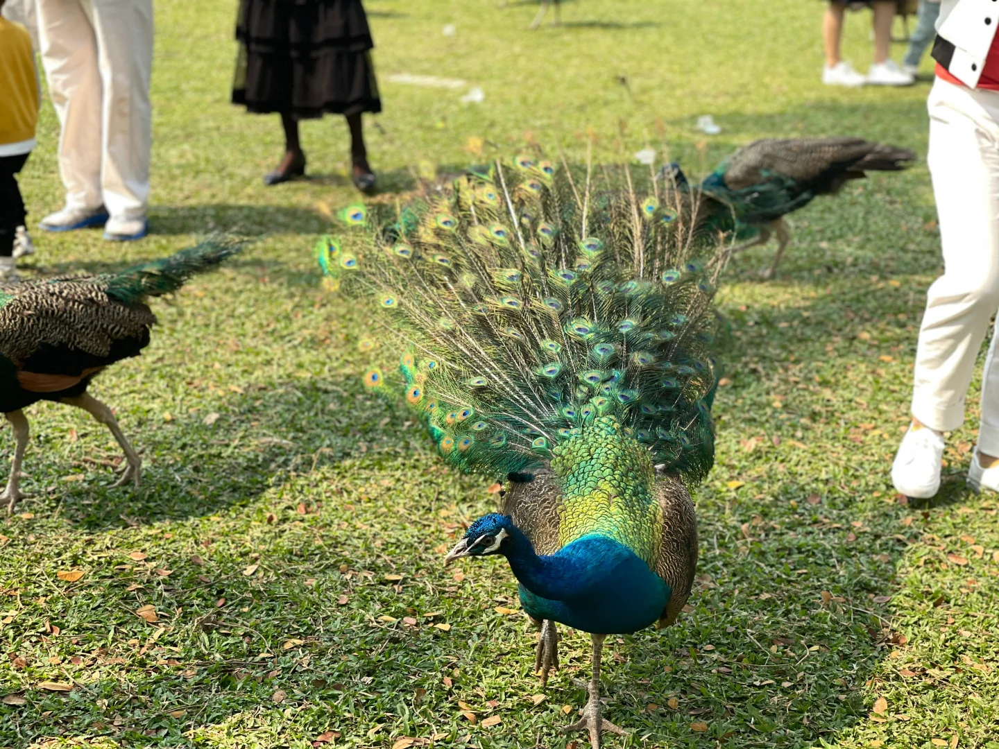 🌞谁能不爱旅游啊？